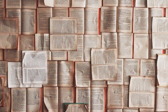 Il libro con le ali