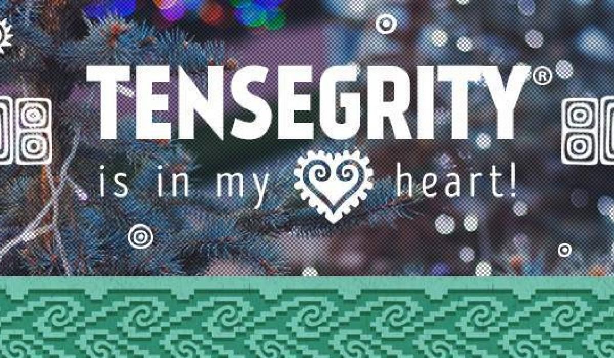 Tensegrità